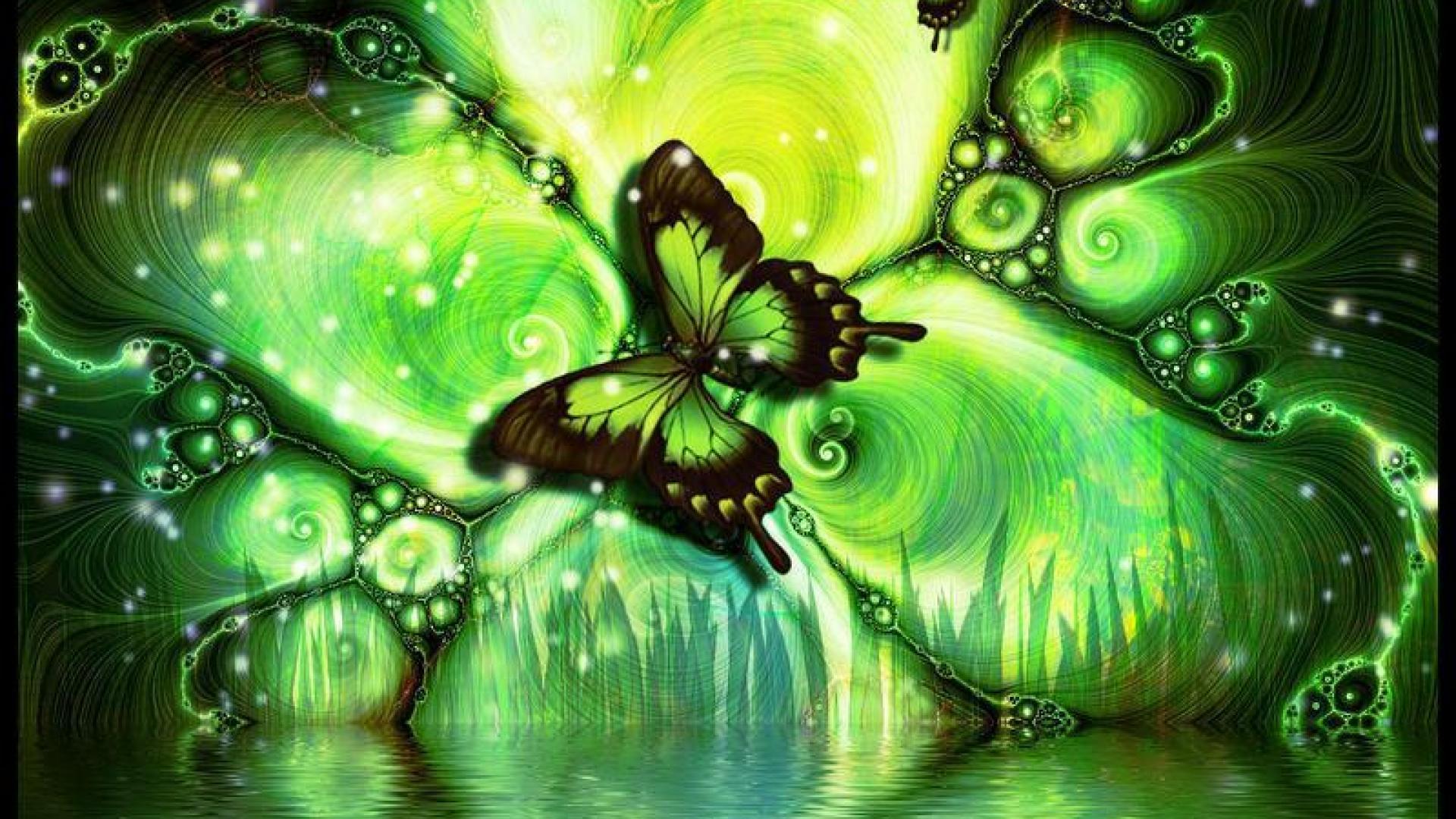 Neon Green Butterflies Wallpapers