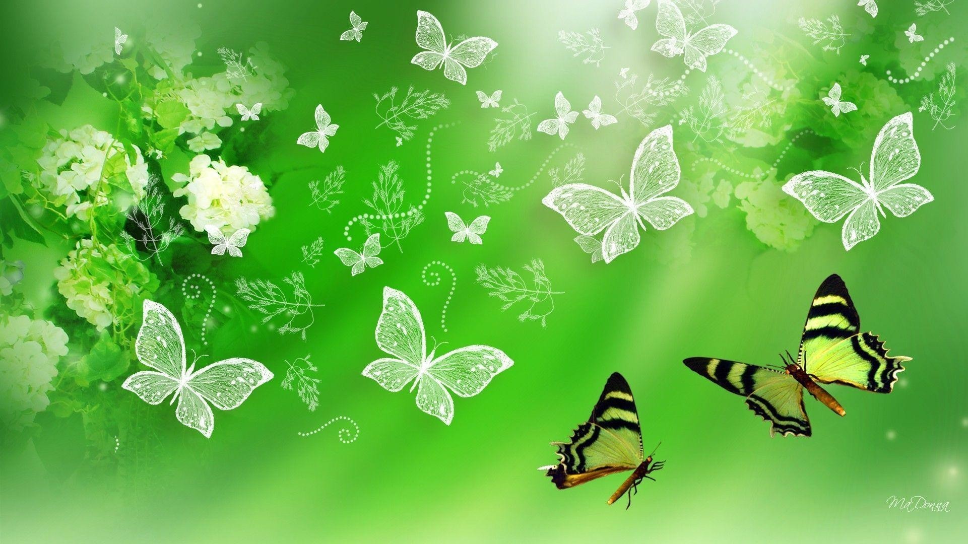 Neon Green Butterflies Wallpapers