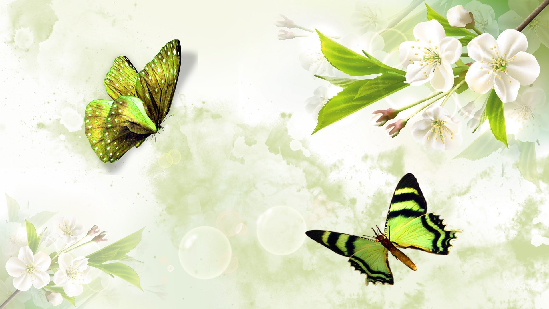 Neon Green Butterflies Wallpapers