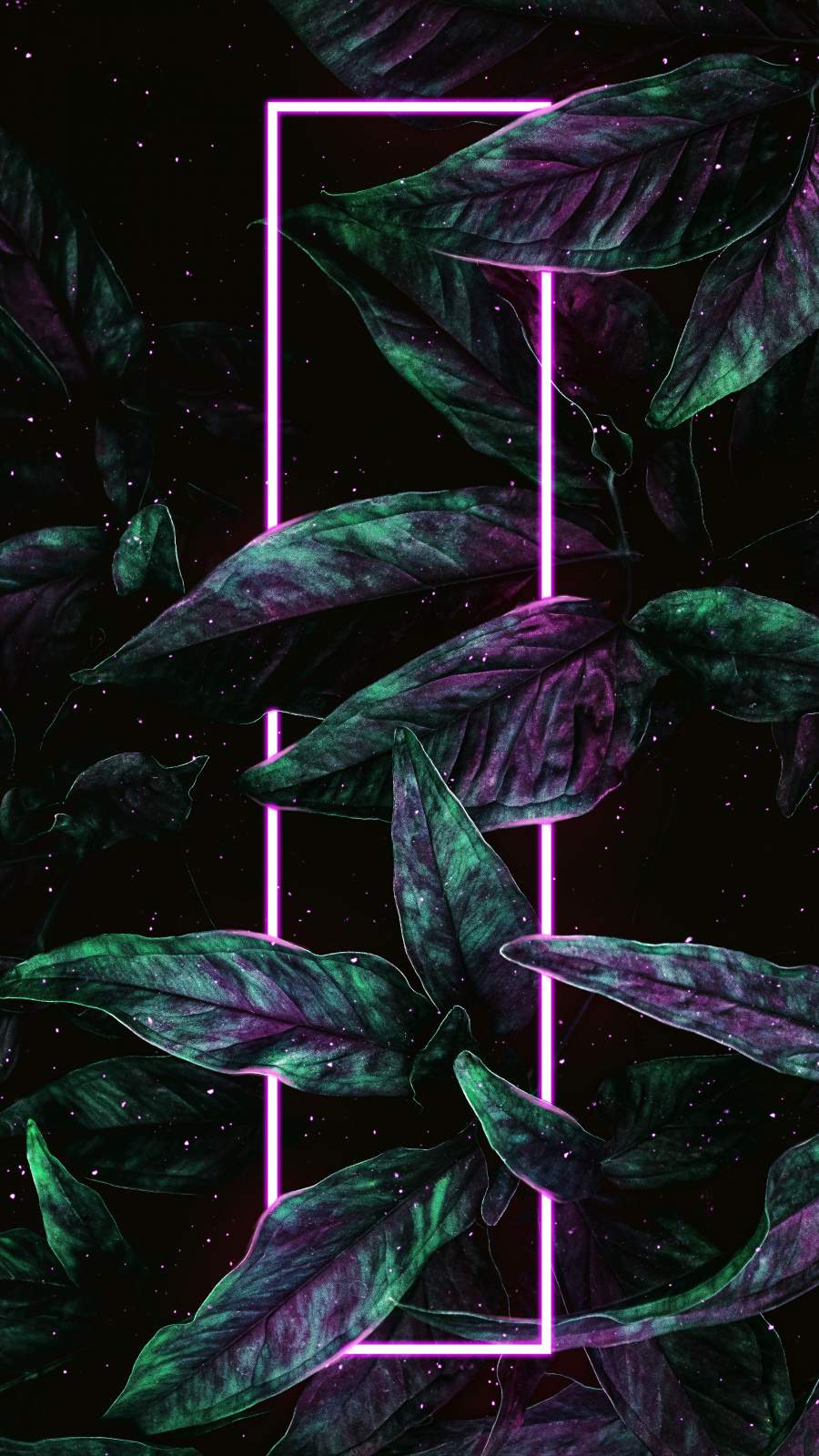 Neon Green Iphone Wallpapers