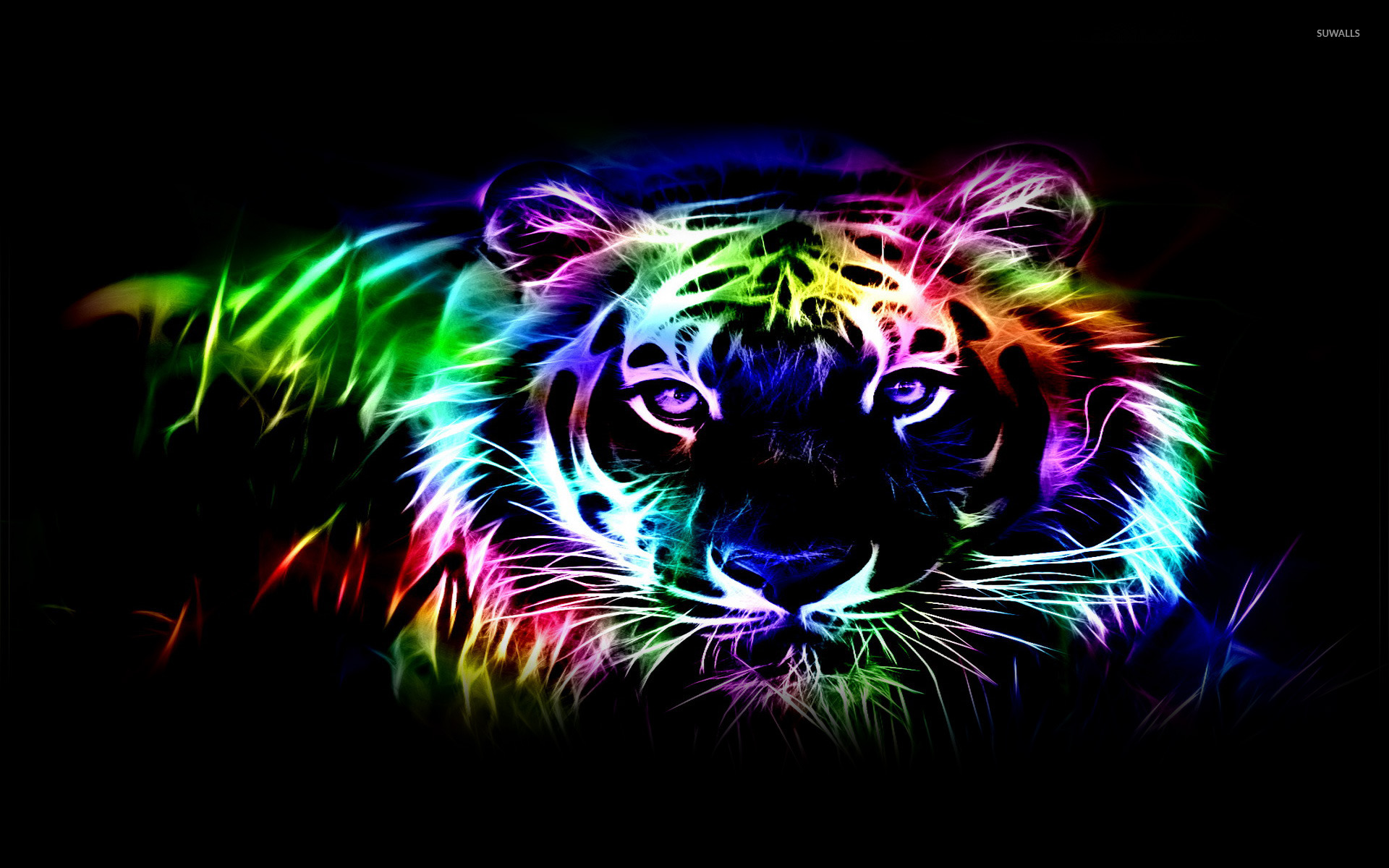 Neon Lion Wallpapers