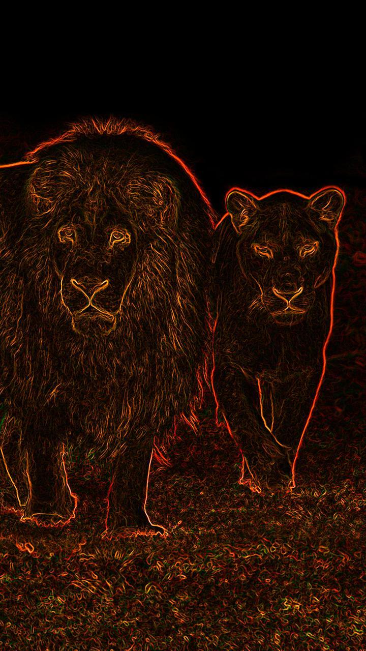 Neon Lion Wallpapers