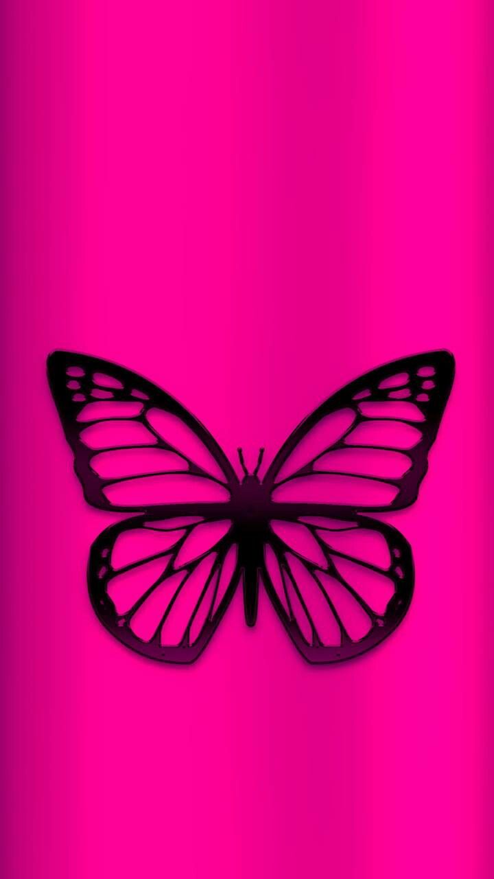 Neon Pink Butterfly Wallpapers