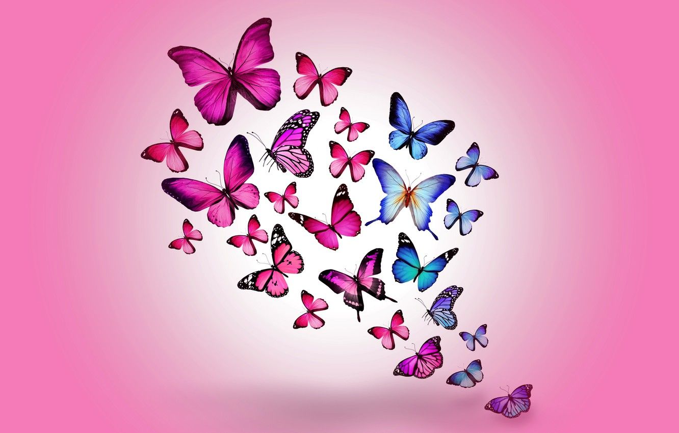 Neon Pink Butterfly Wallpapers