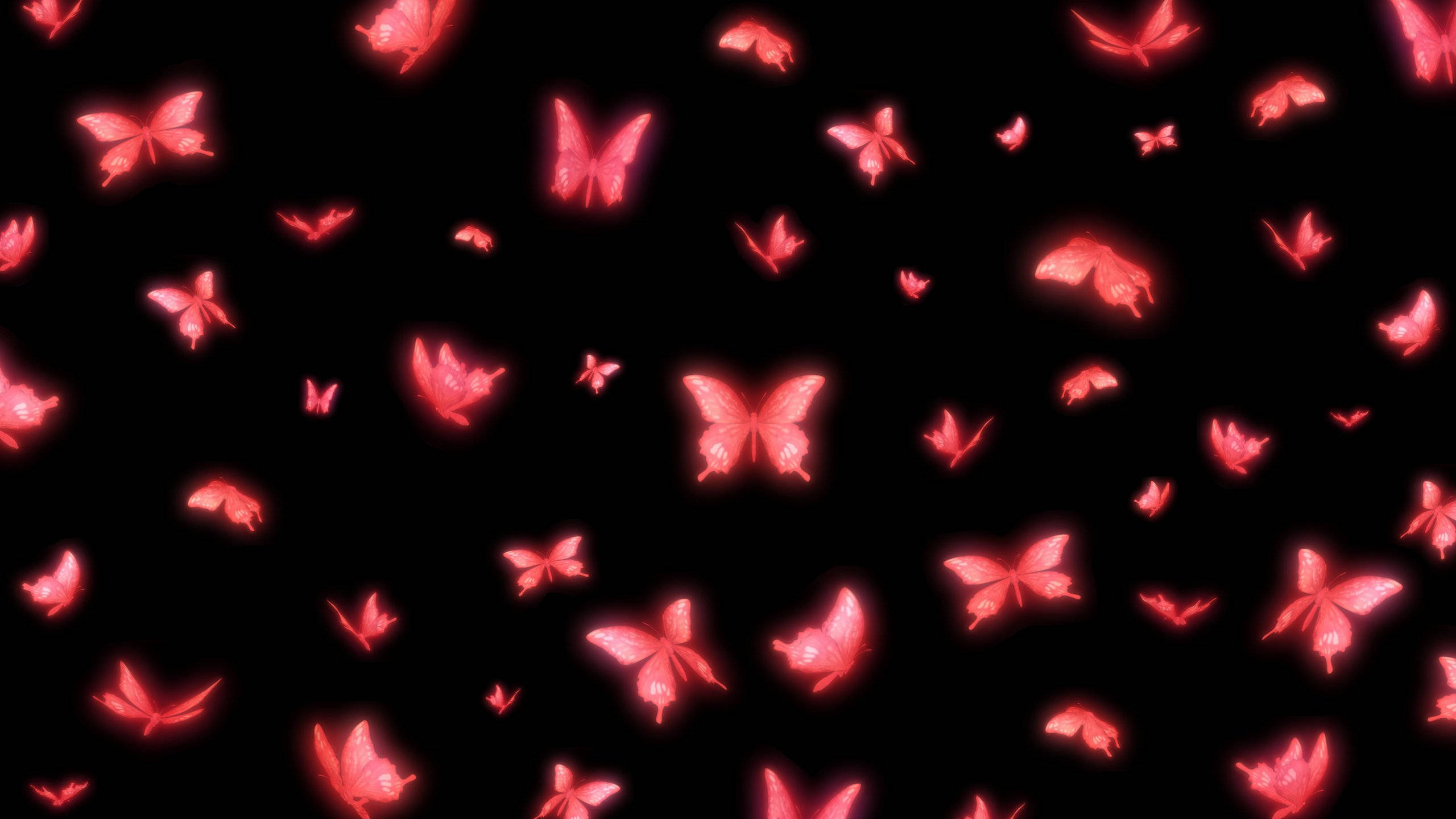 Neon Pink Butterfly Wallpapers