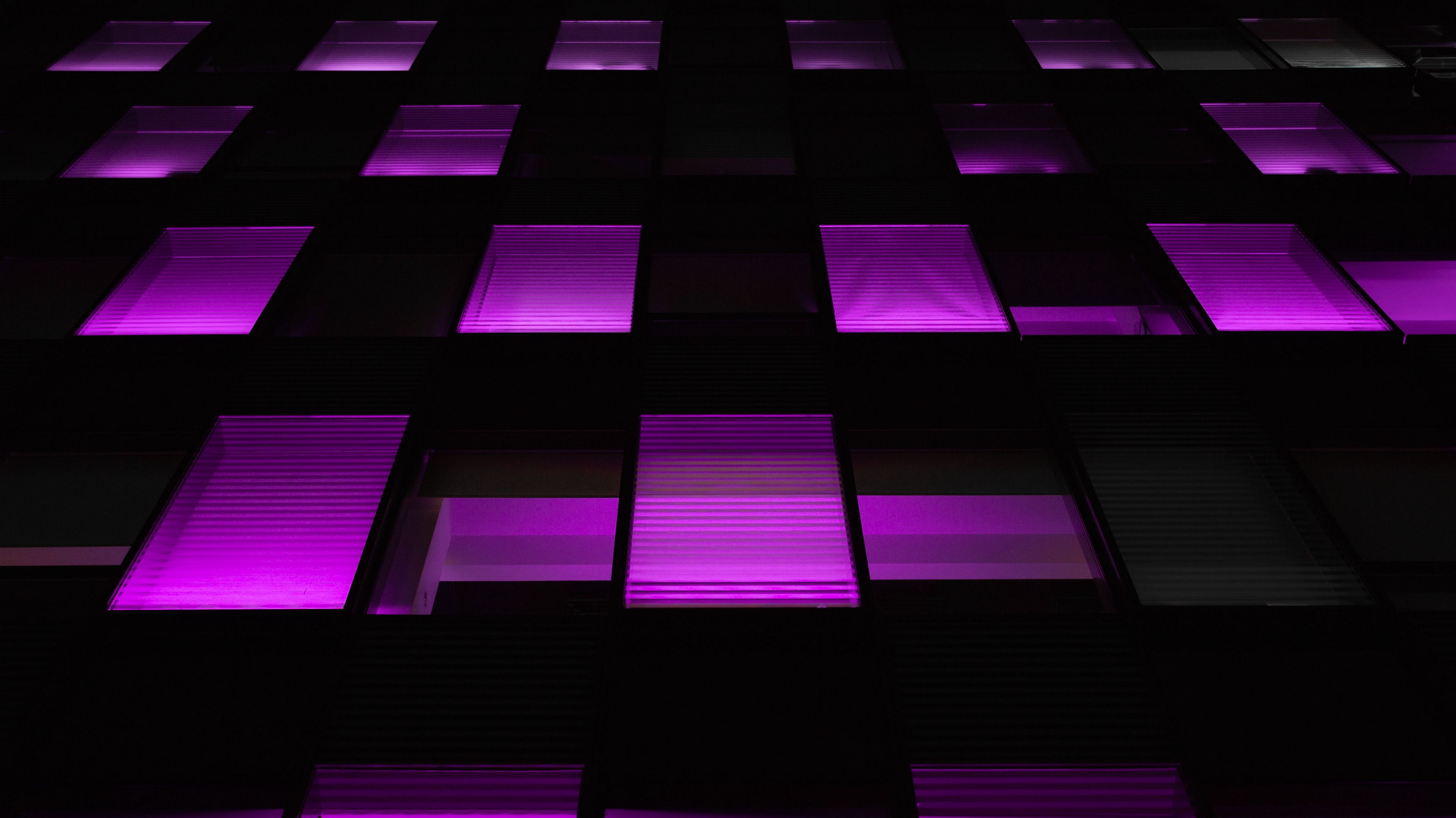 Neon Purple 4K Wallpapers