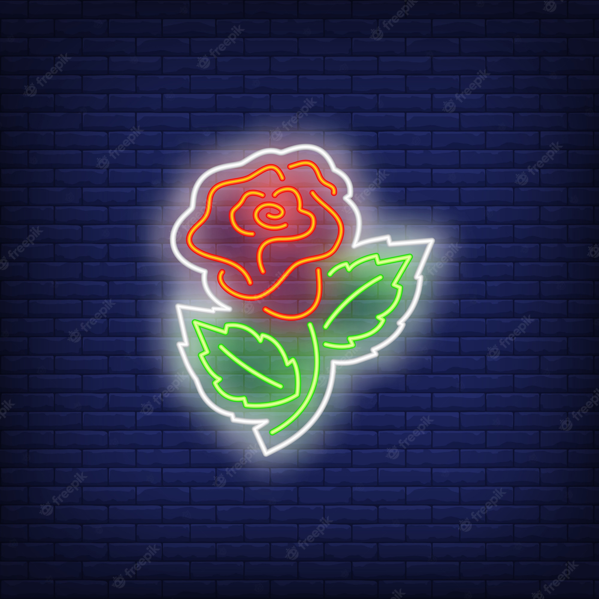 Neon Rose Wallpapers