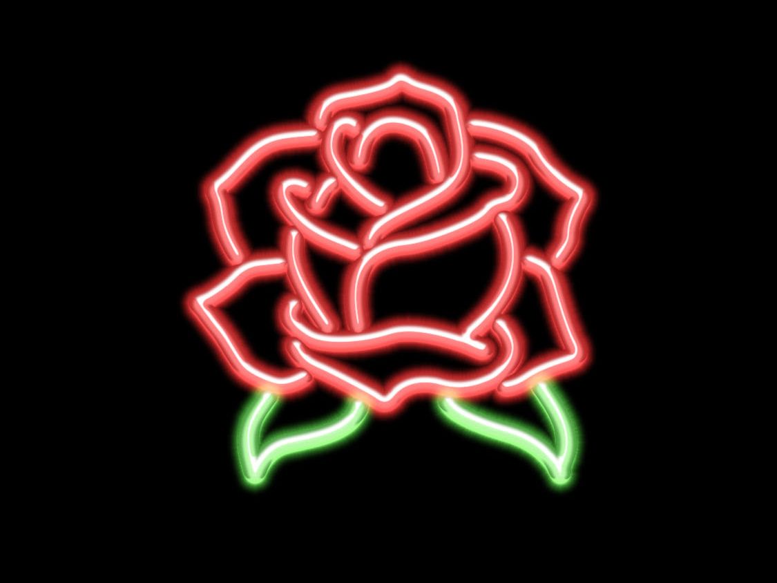 Neon Rose Wallpapers