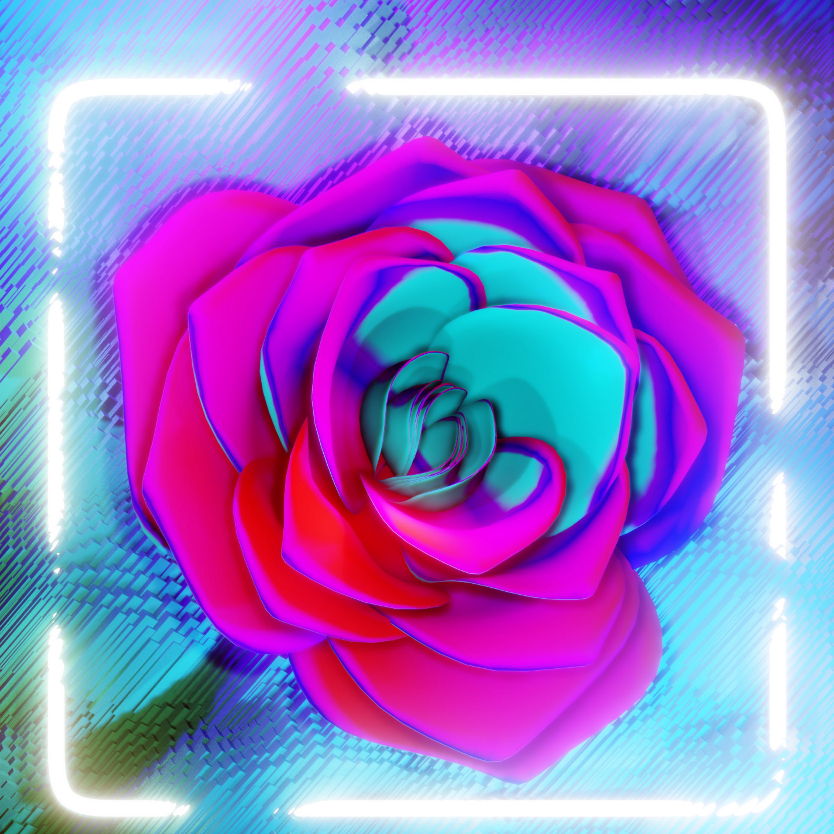 Neon Rose Wallpapers