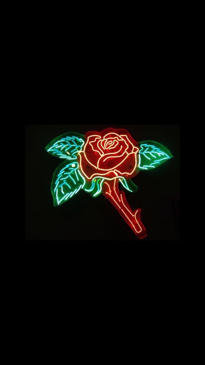 Neon Rose Wallpapers