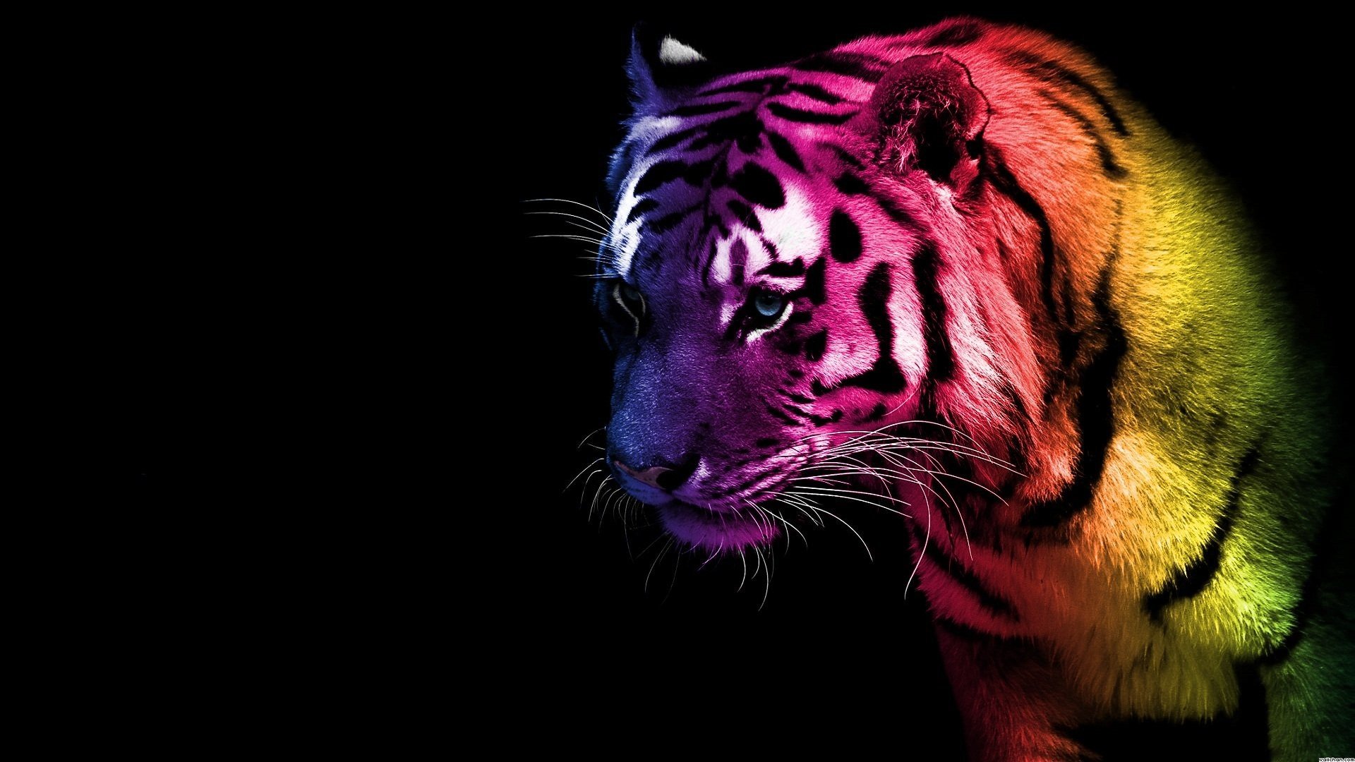 Neon Tiger Wallpapers