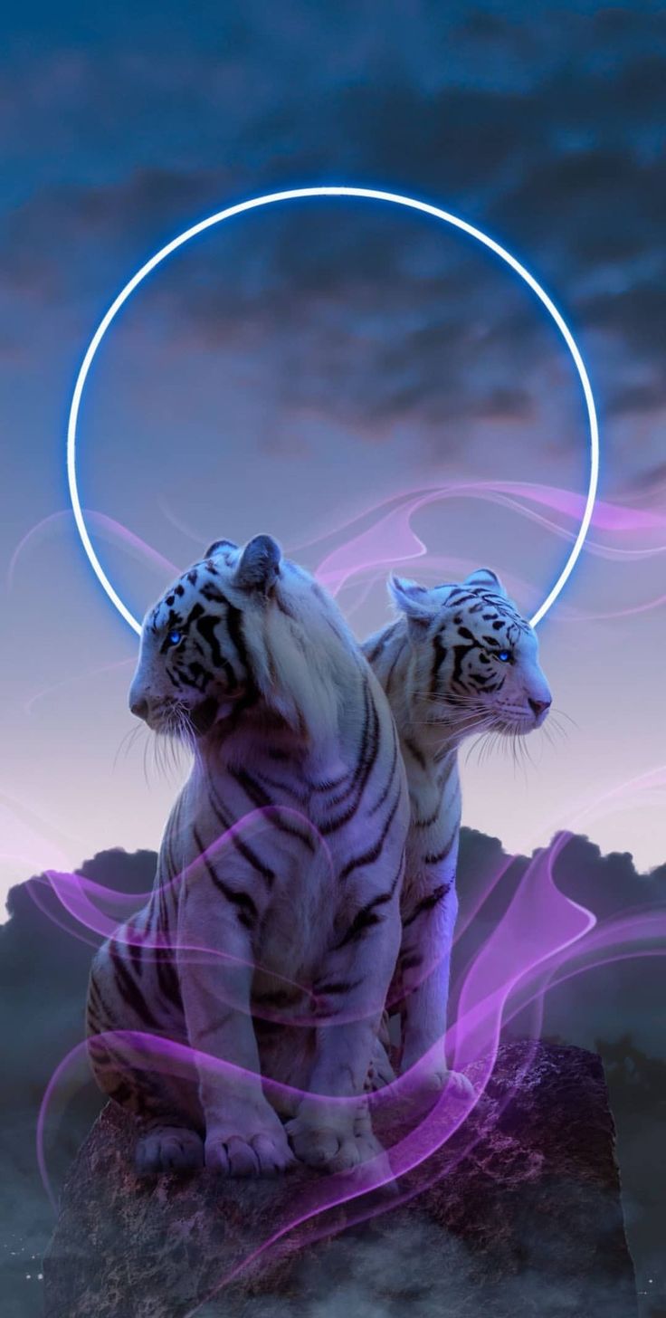 Neon Tiger Wallpapers