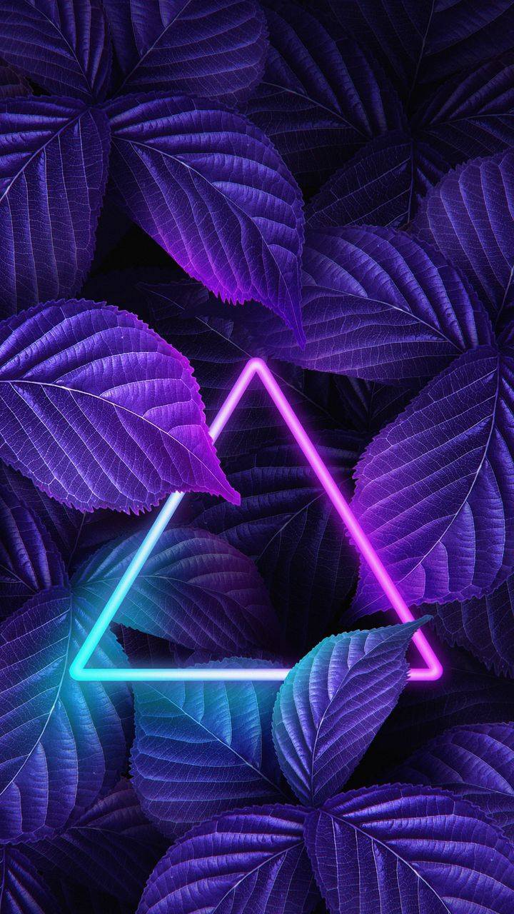 Neon Triangle Wallpapers