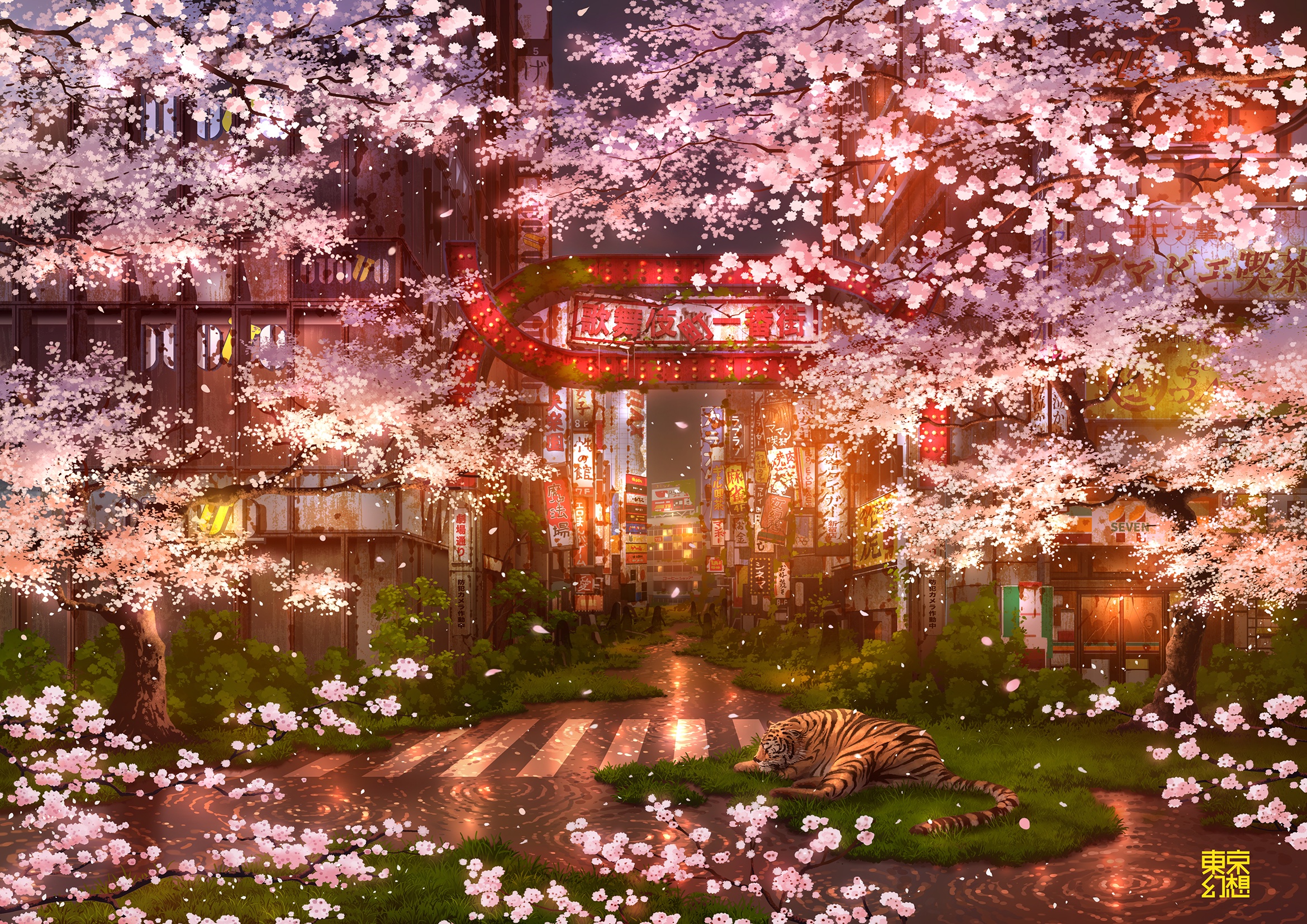 Night Cherry Blossom Wallpapers