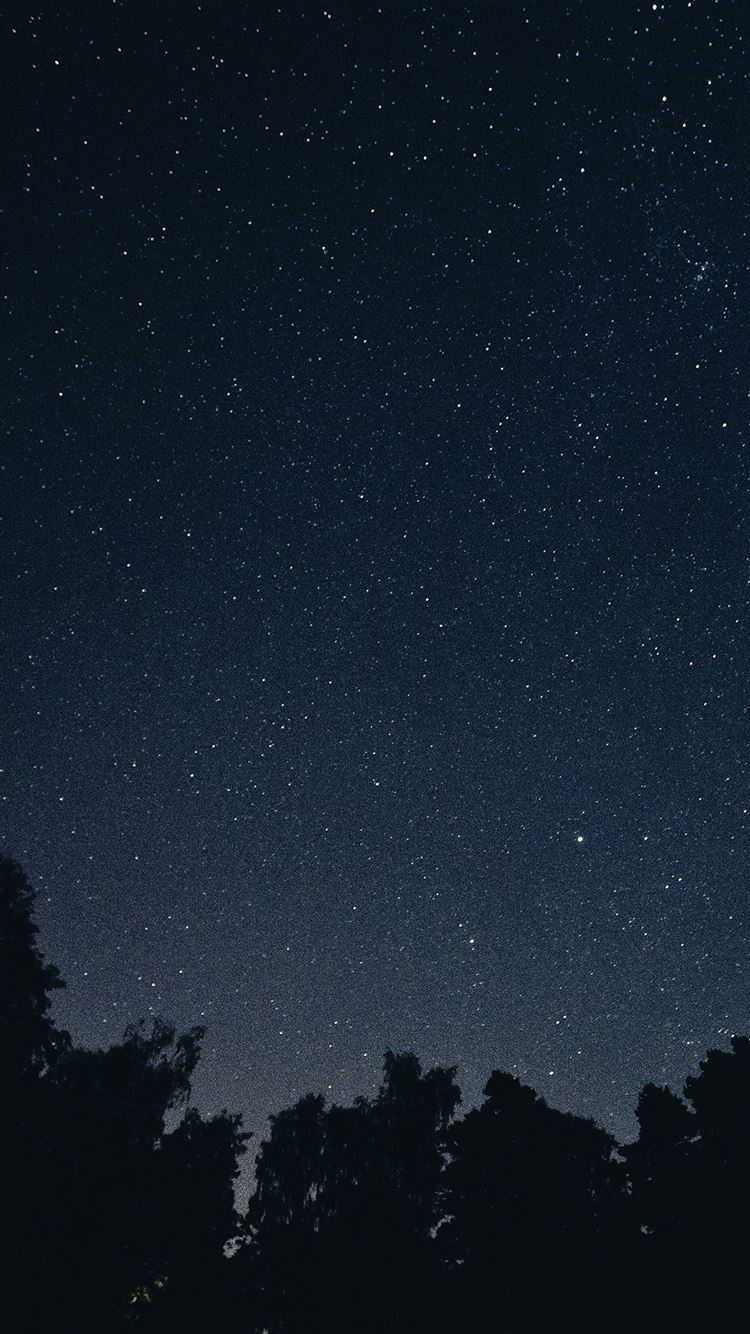 Night Sky Aesthetic Wallpapers