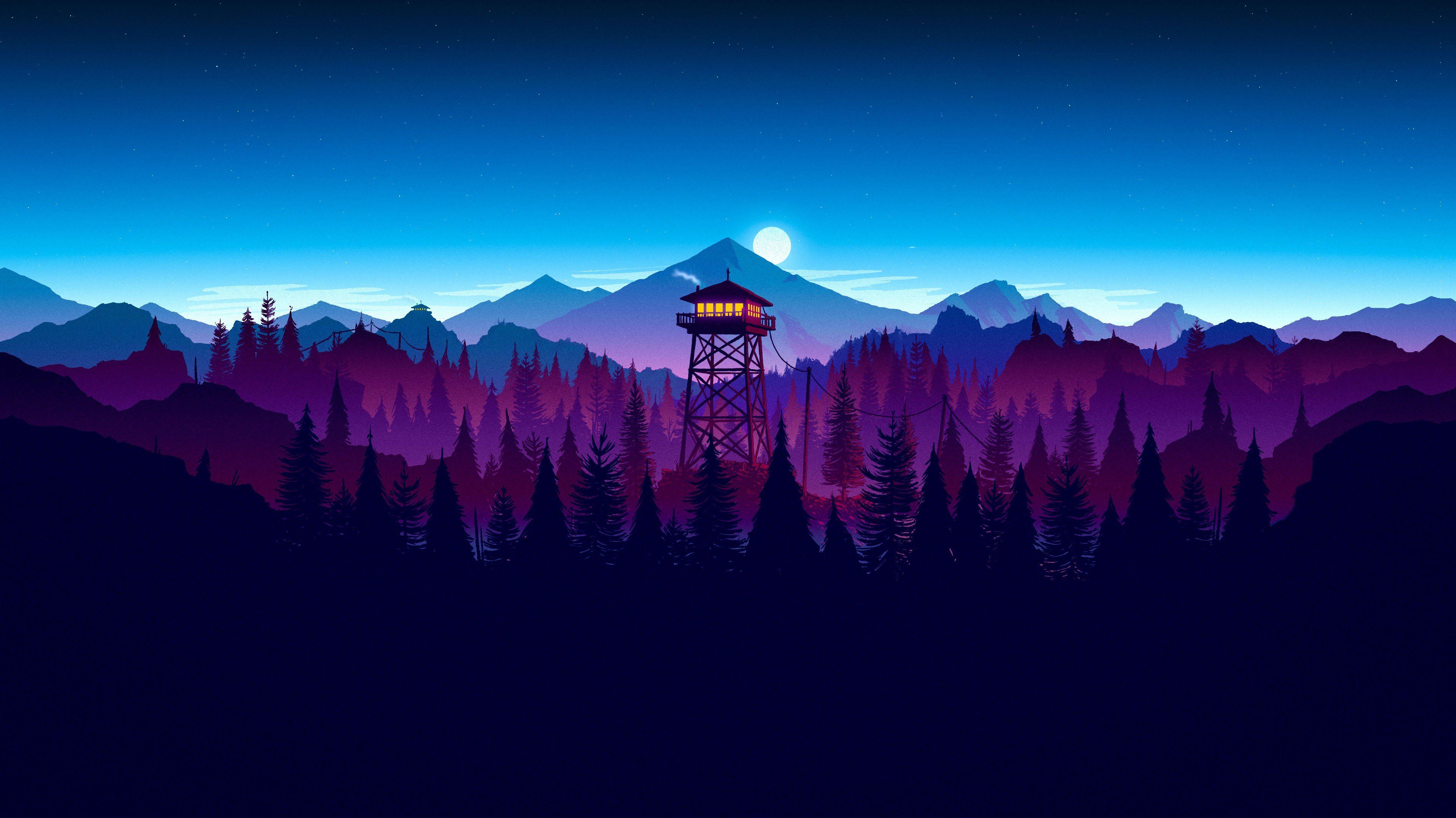 Night Time Forest Wallpapers