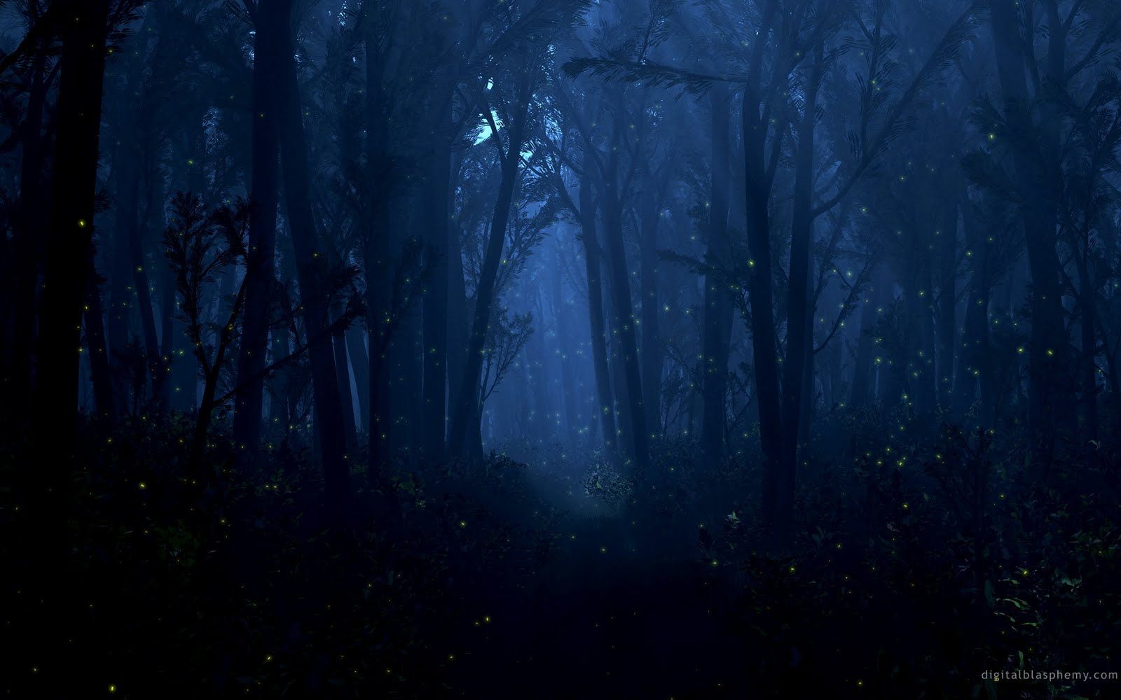 Night Time Forest Wallpapers