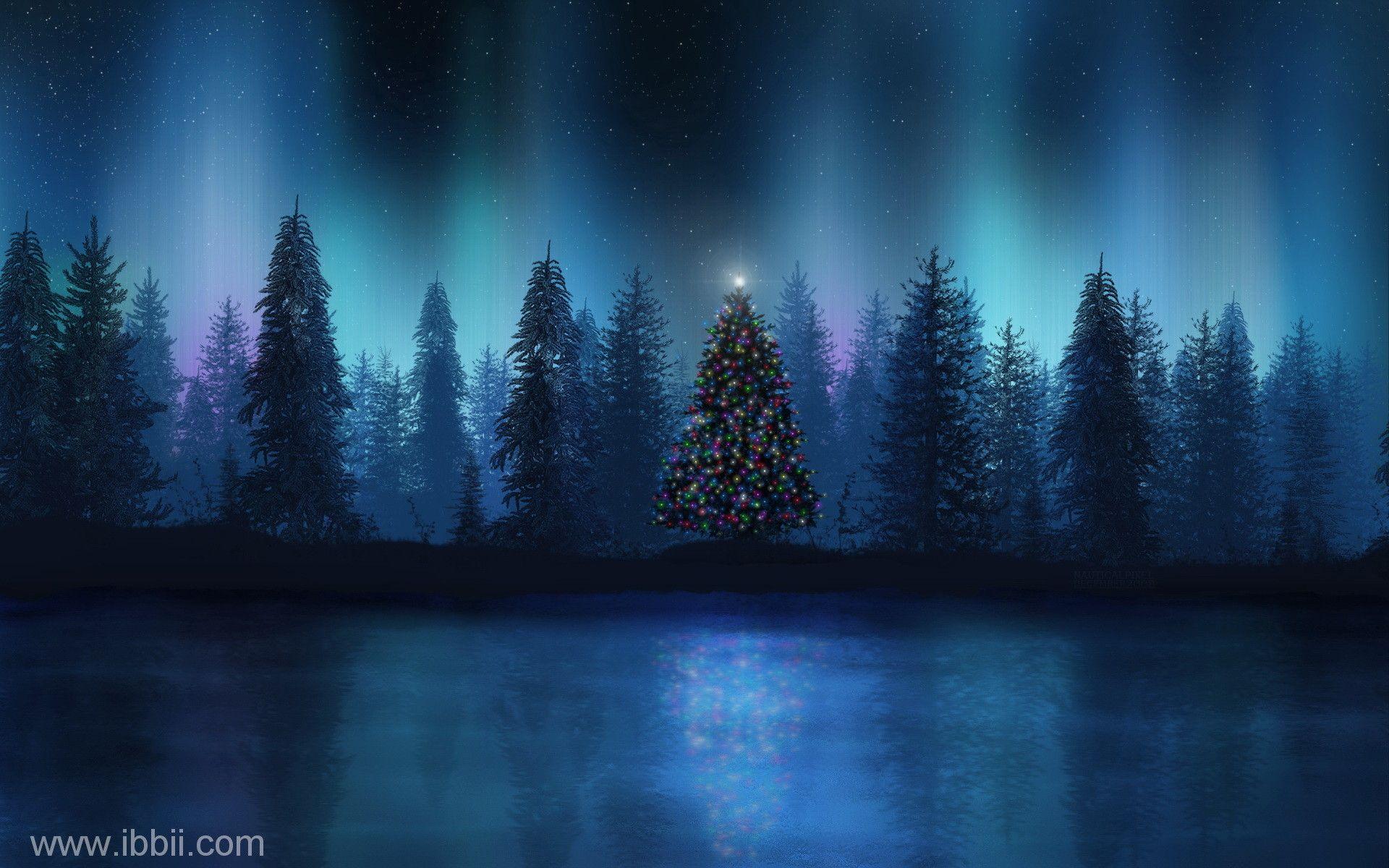 Night Winter Landscape Wallpapers