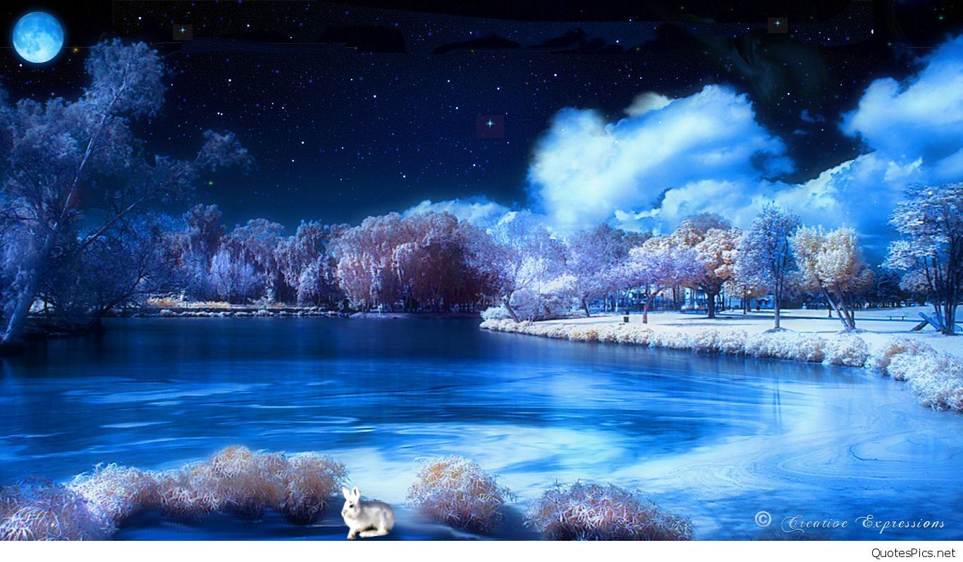 Night Winter Landscape Wallpapers
