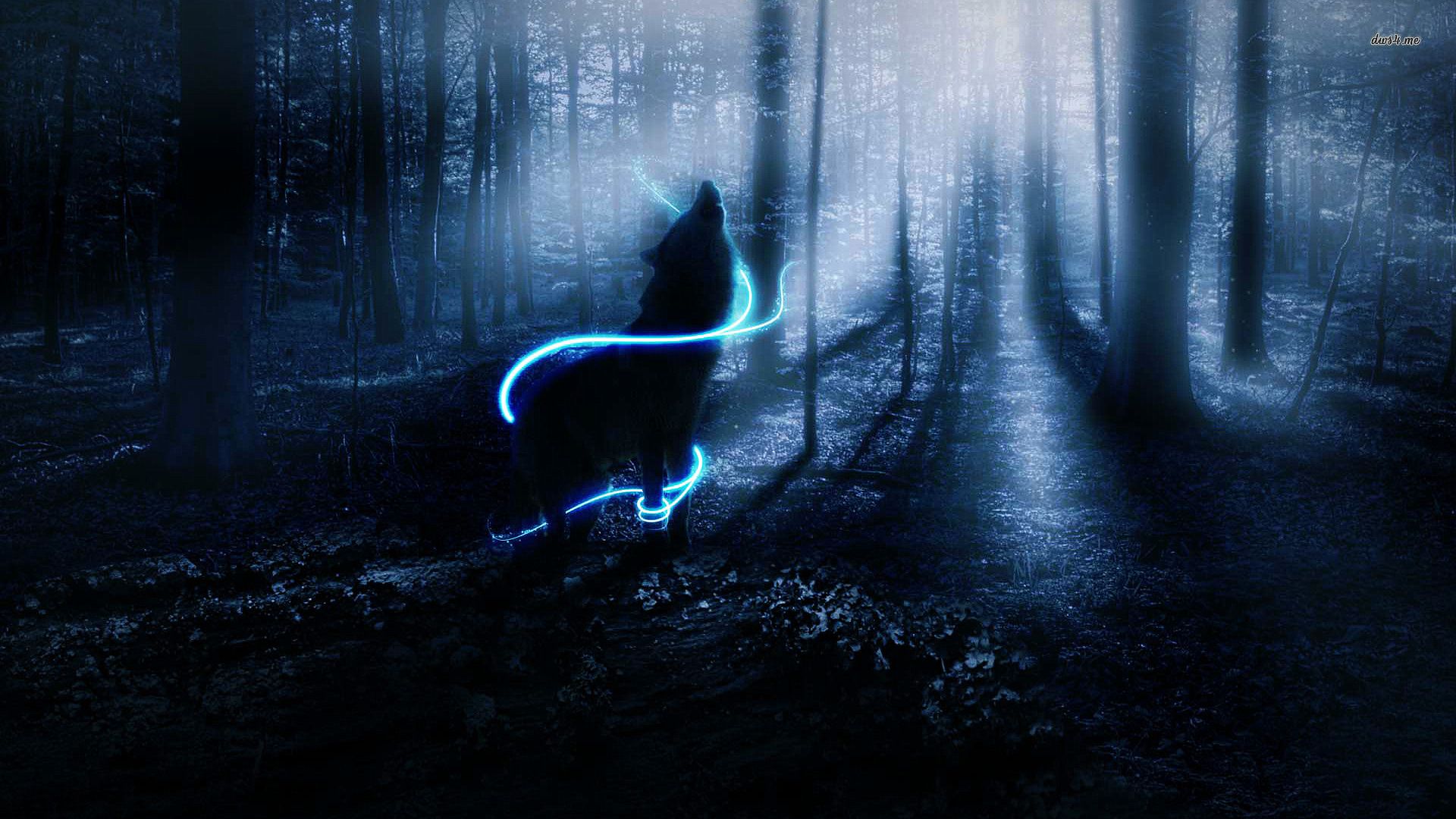 Night Wolf Wallpapers