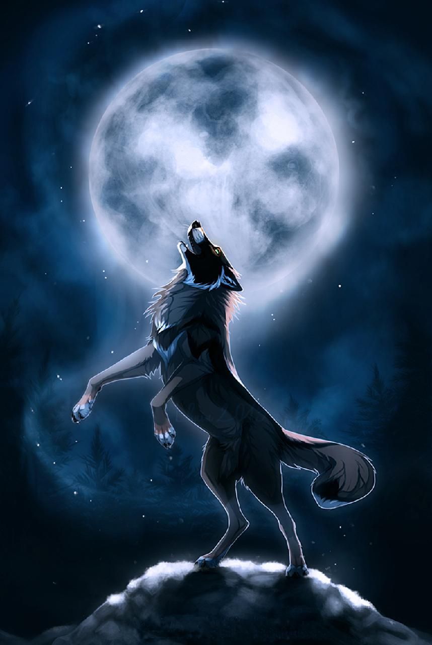 Night Wolf Wallpapers