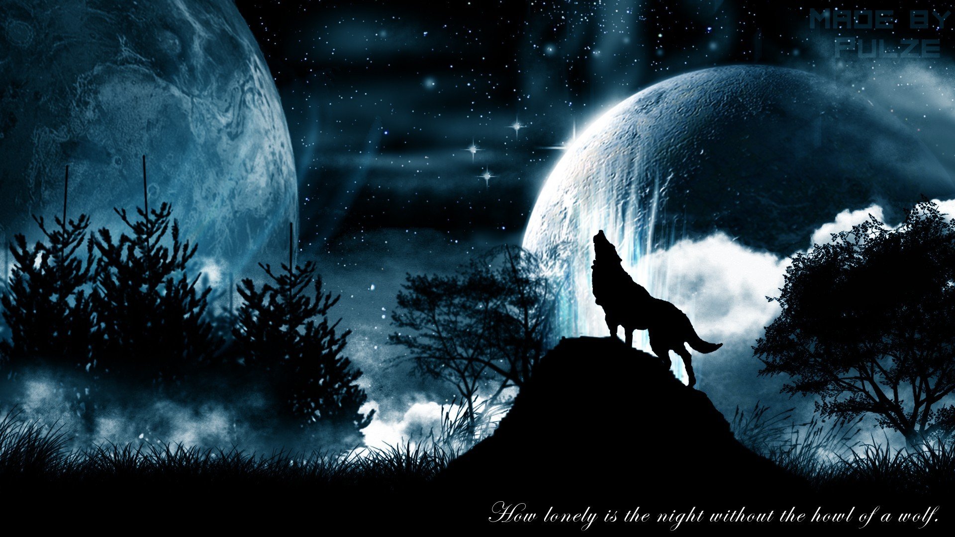 Night Wolf Wallpapers