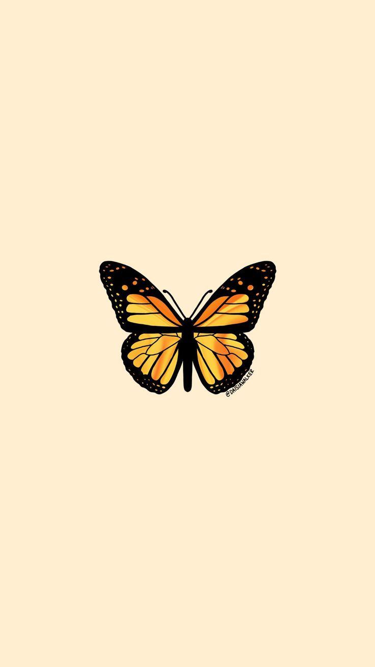 Orange Butterfly Wallpapers