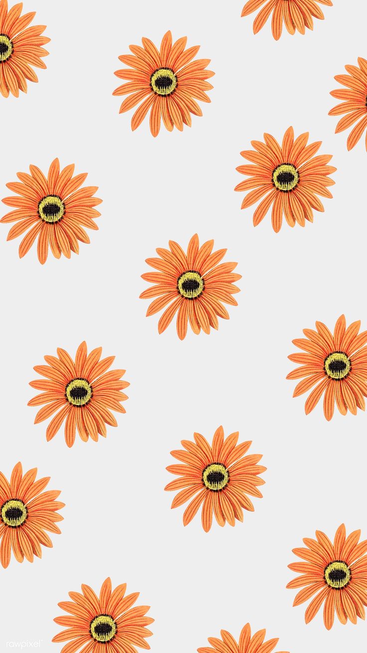 Orange Floral Wallpapers