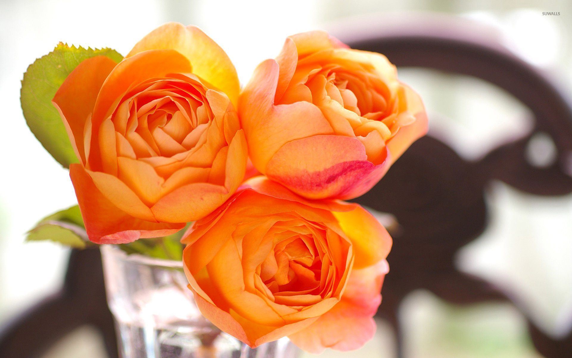 Orange Roses Desktop Wallpapers