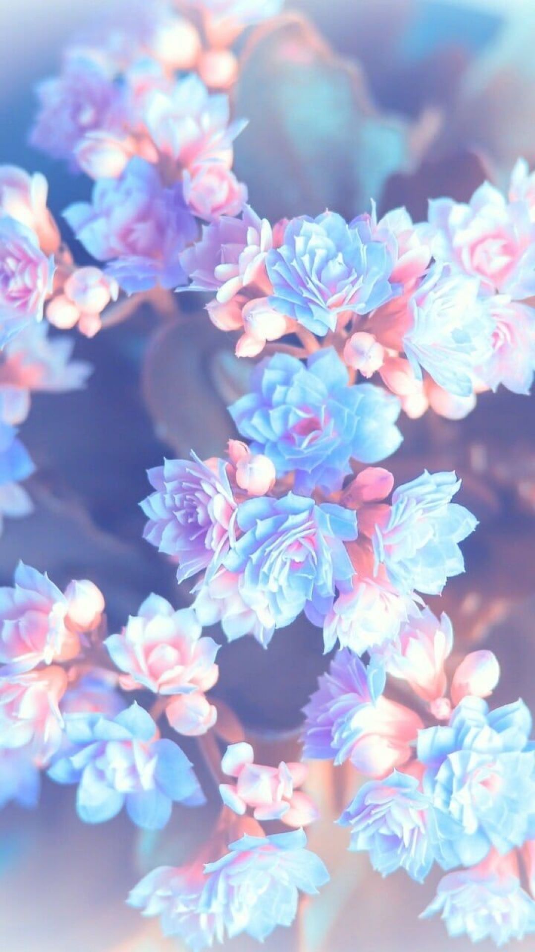 Pastel Blue Aesthetic Iphone Wallpapers