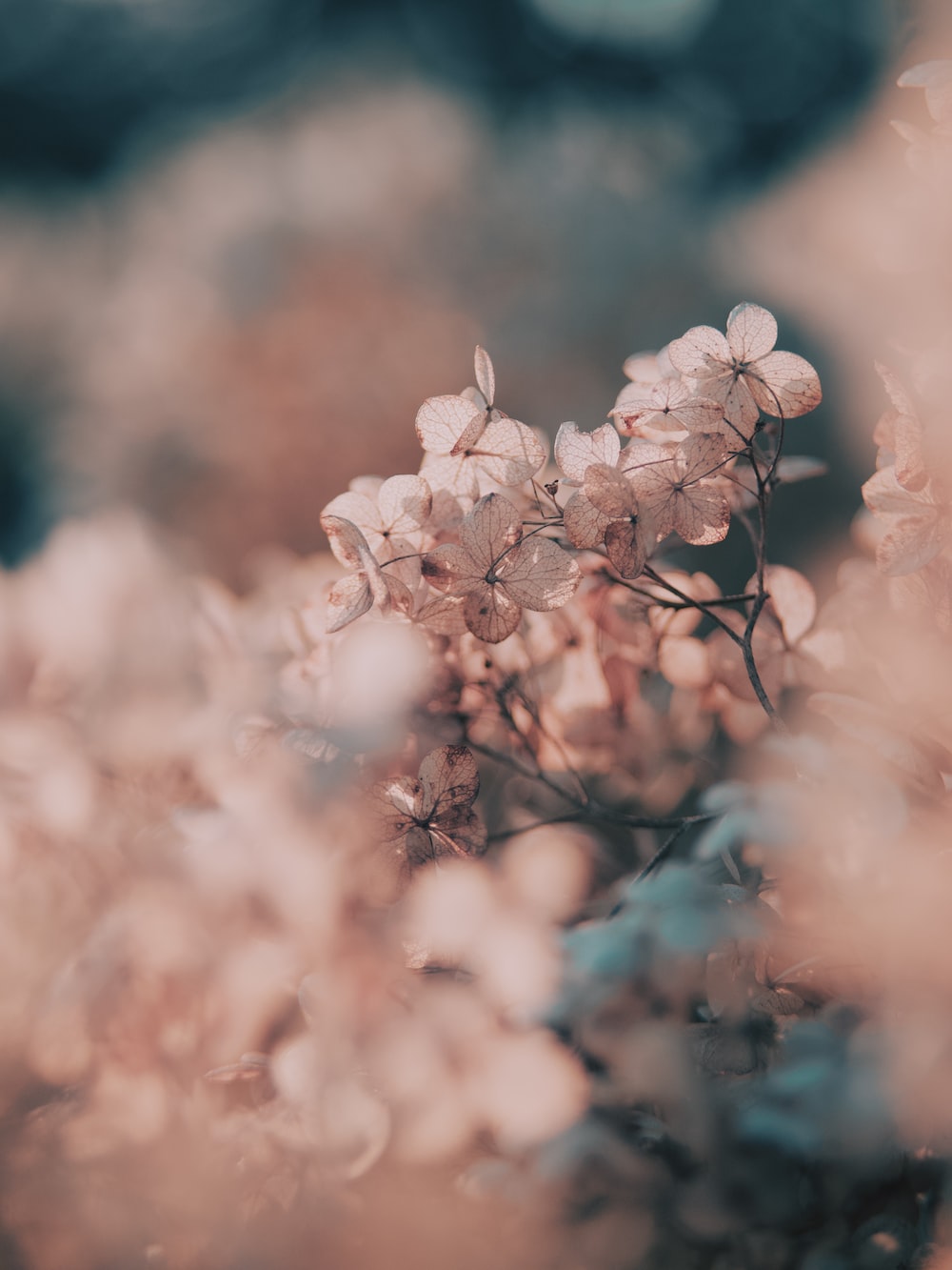 Pastel Bokeh Wallpapers