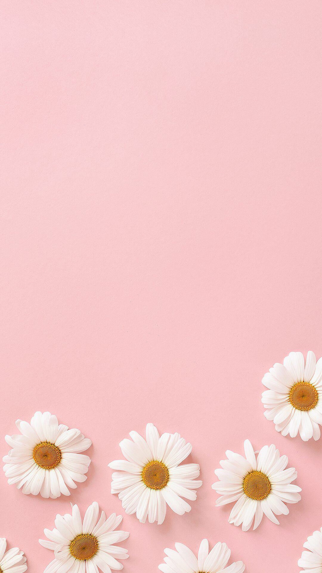 Pastel Floral Iphone Wallpapers