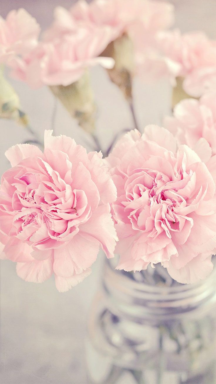 Pastel Flower Wallpapers