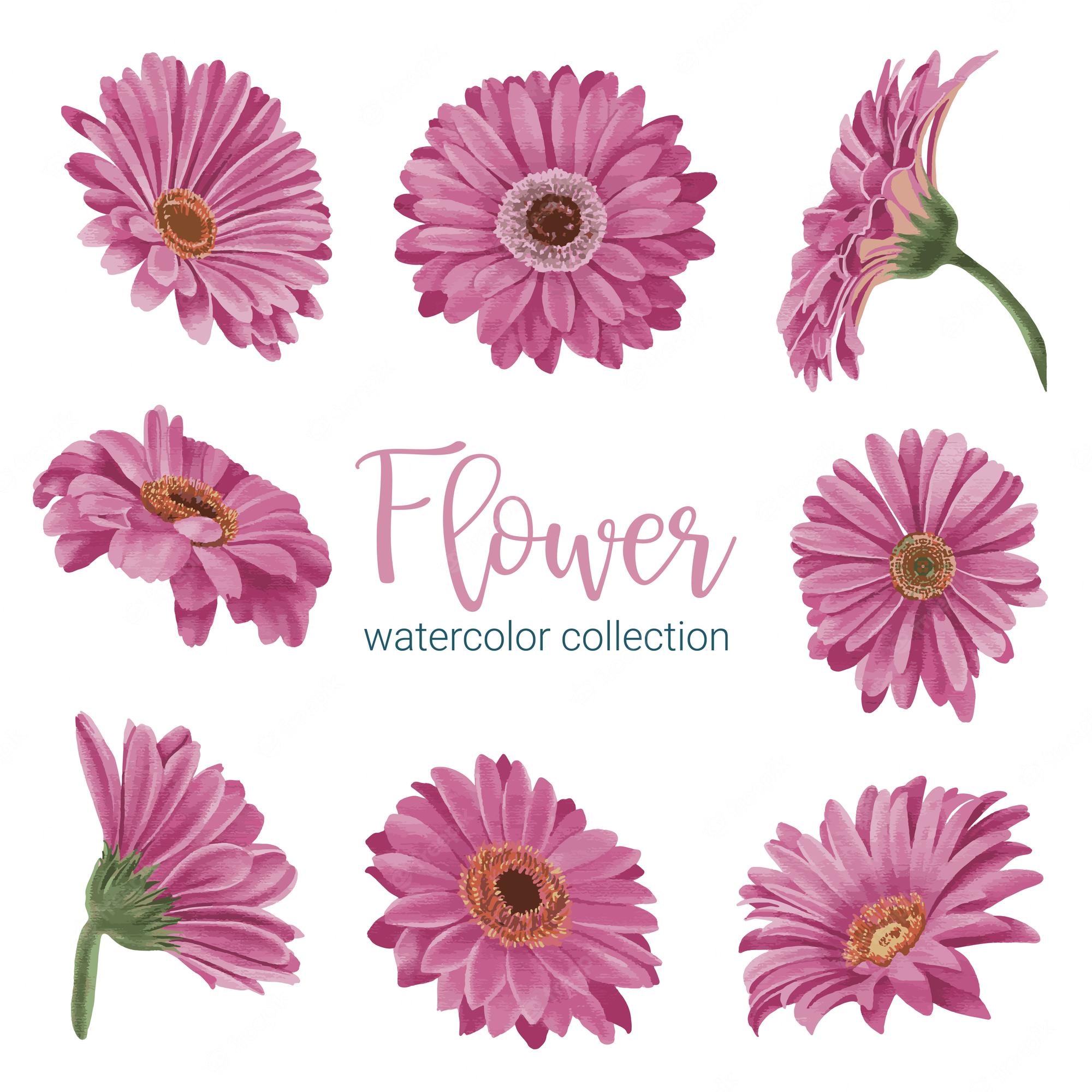 Pastel Flower Wallpapers