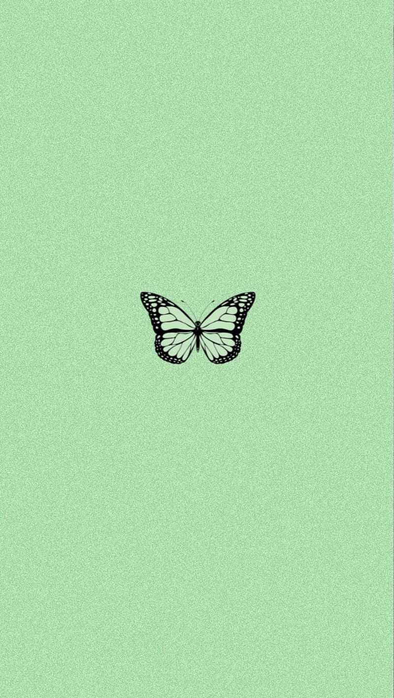 Pastel Green Aesthetic Wallpapers