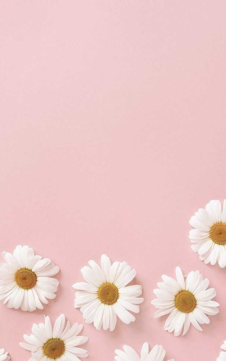 Pastel Pink Aesthetic Wallpapers