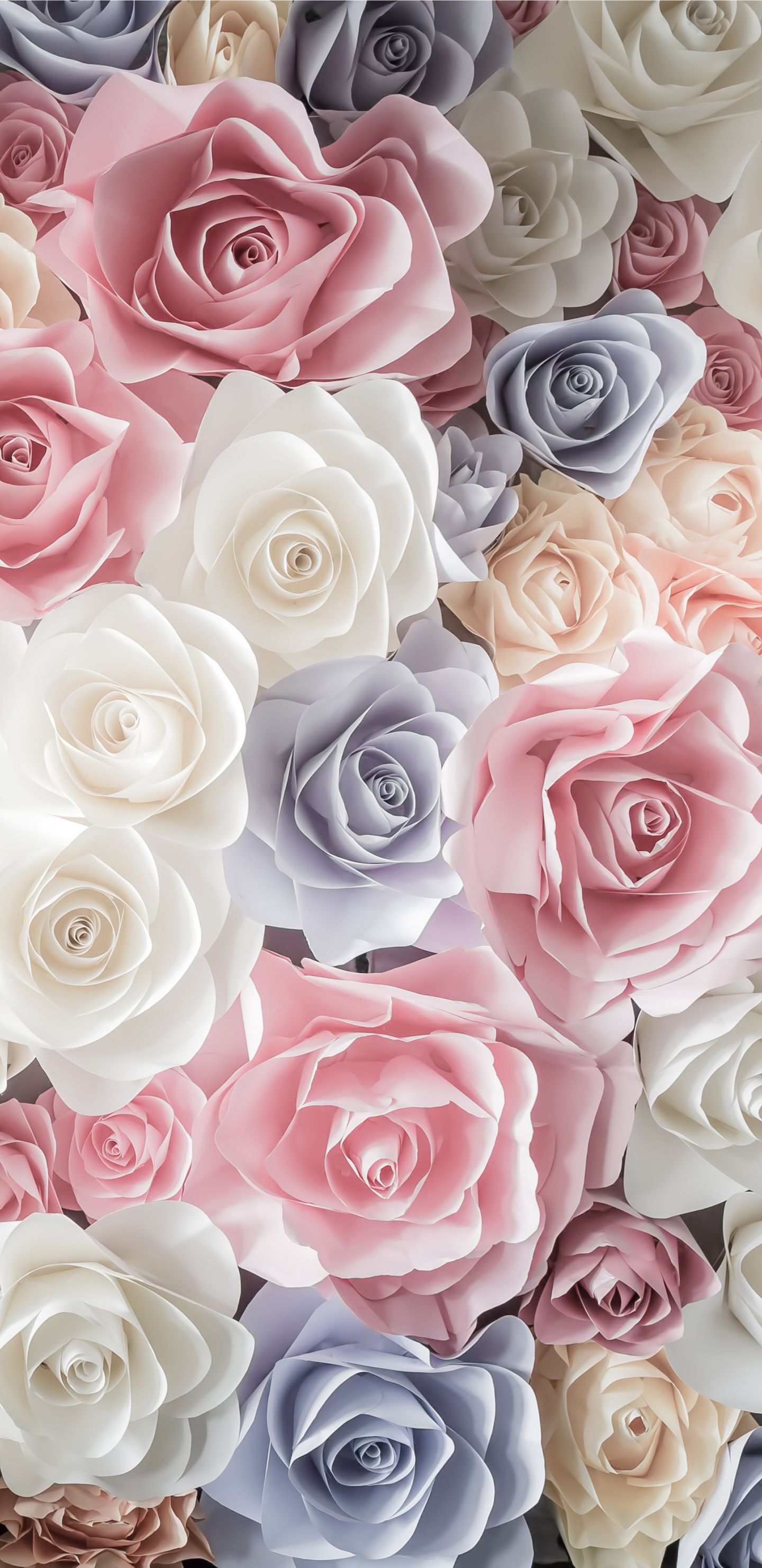 Pastel Roses Wallpapers