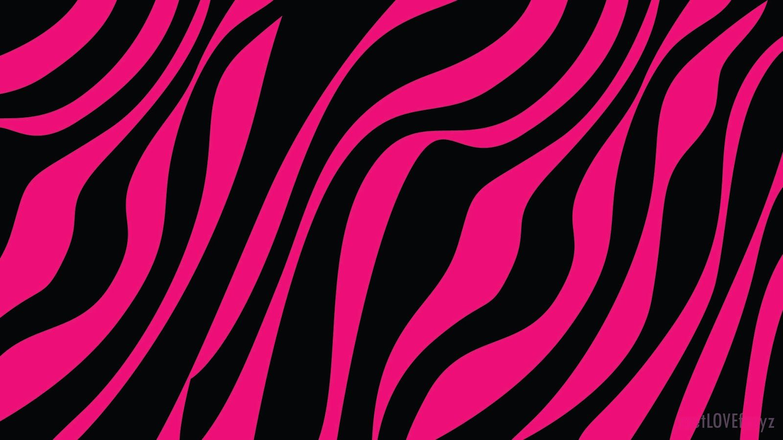 Pink And Black Zebra Wallpapers