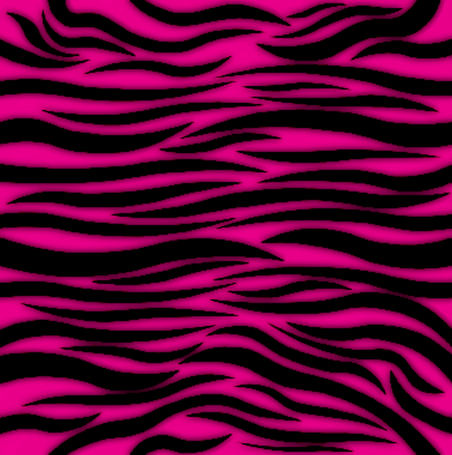 Pink And Black Zebra Wallpapers