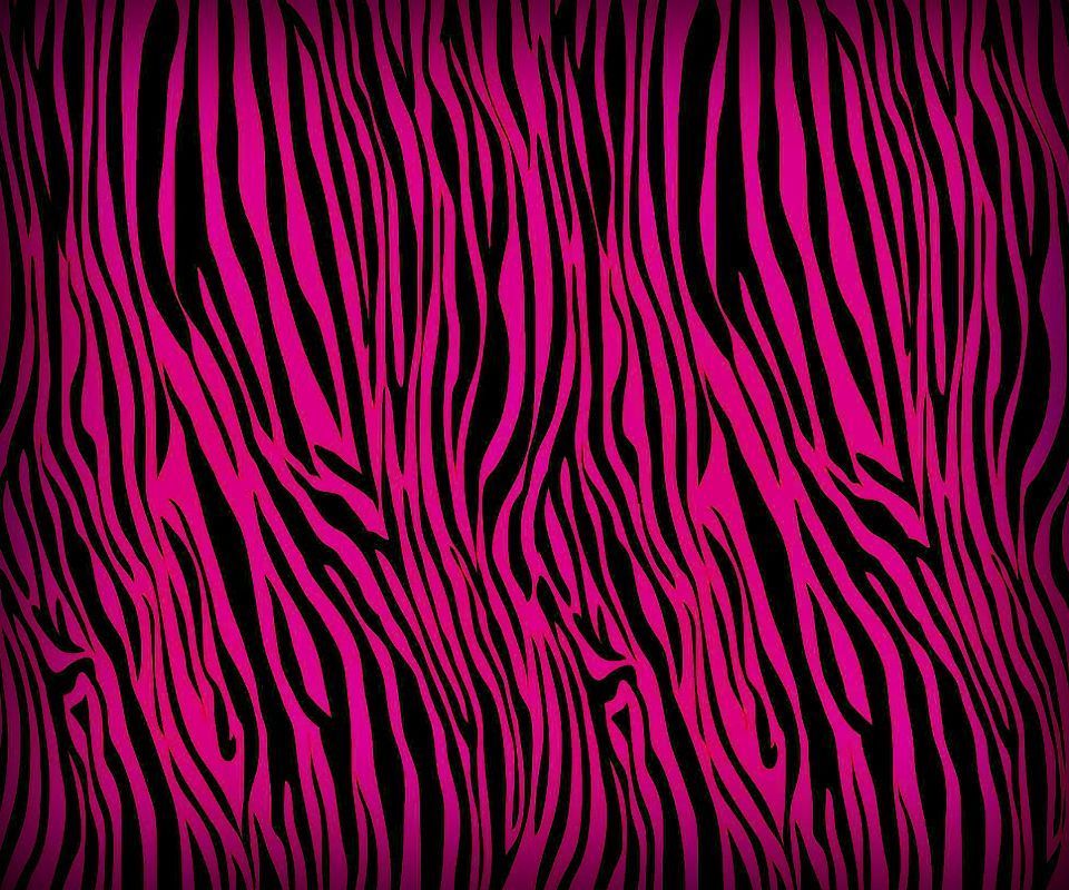 Pink And Black Zebra Wallpapers