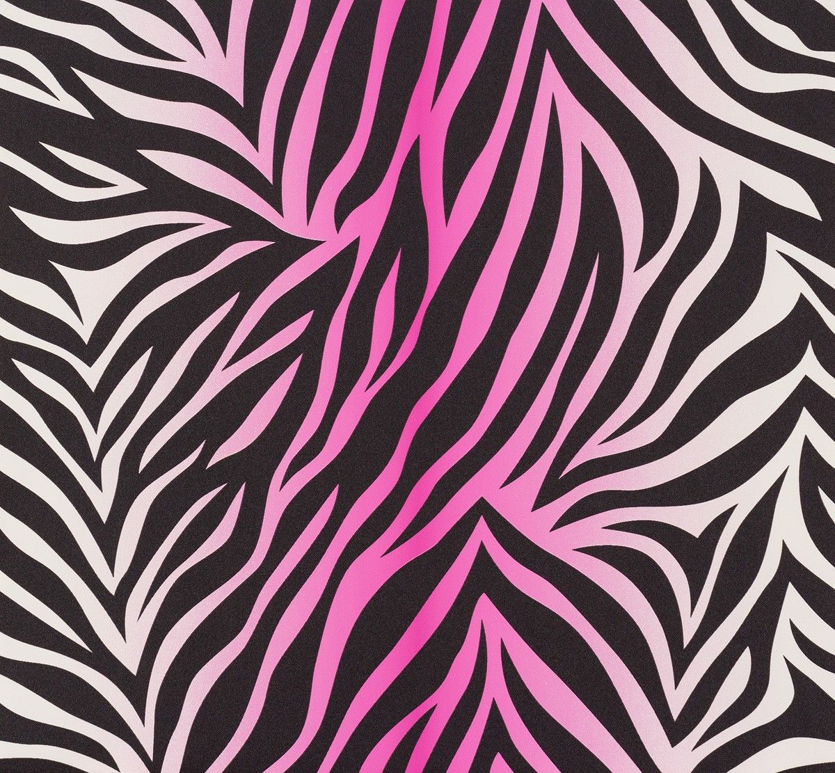 Pink And Black Zebra Wallpapers