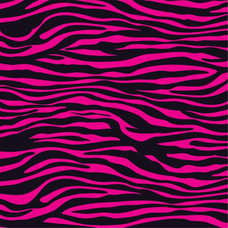 Pink And Black Zebra Wallpapers