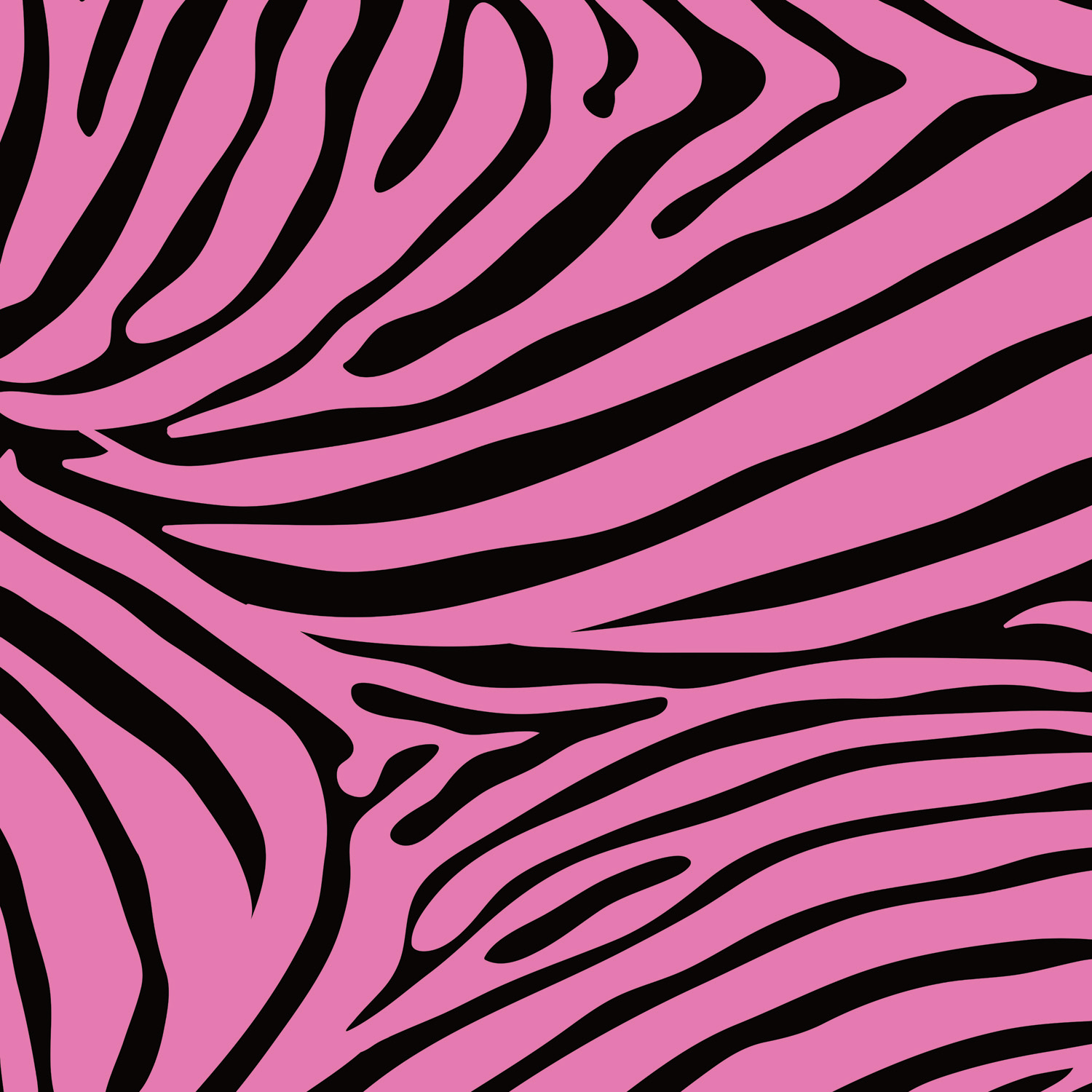 Pink And Black Zebra Wallpapers