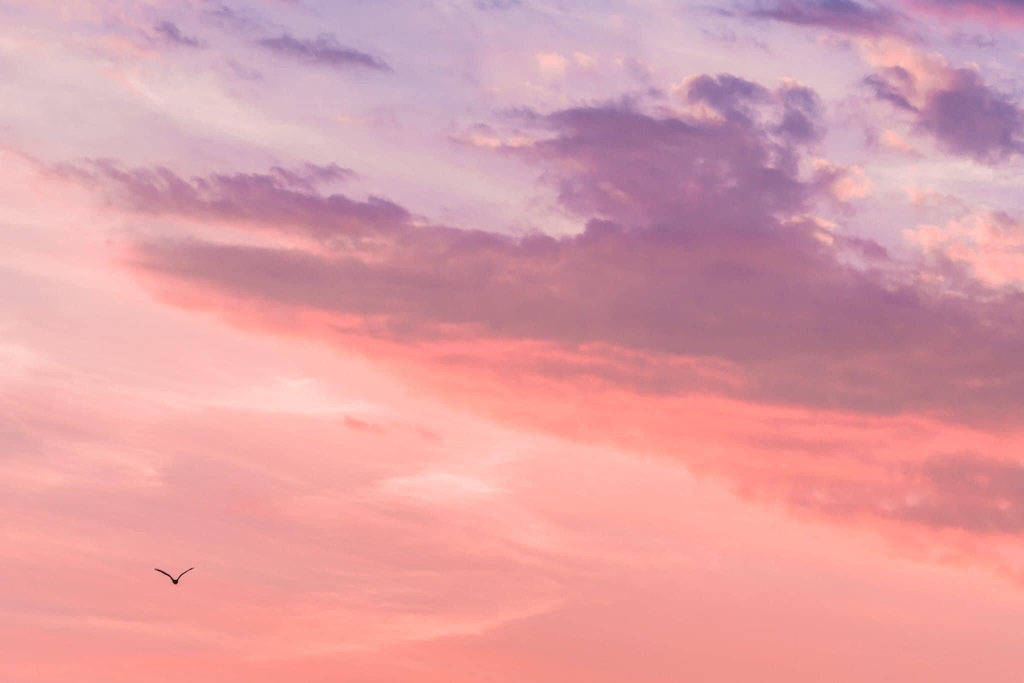 Pink And Purple Sky Wallpapers