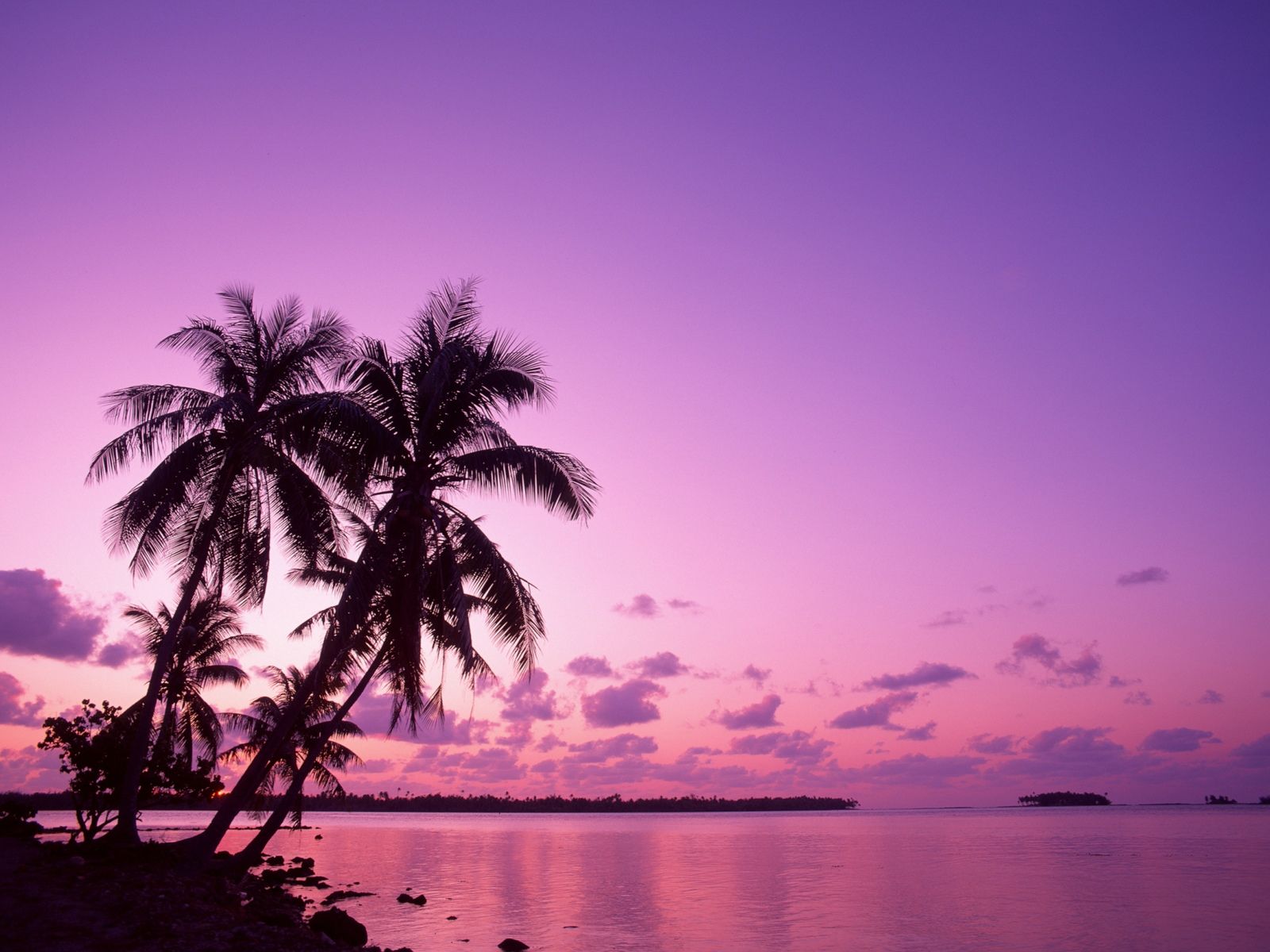 Pink And Purple Sky Wallpapers