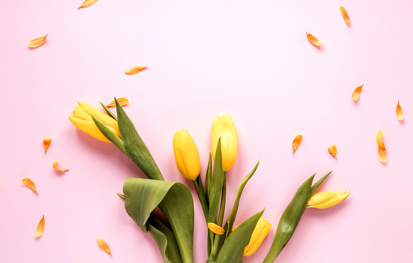 Pink And Yellow Flowers Wallpapers