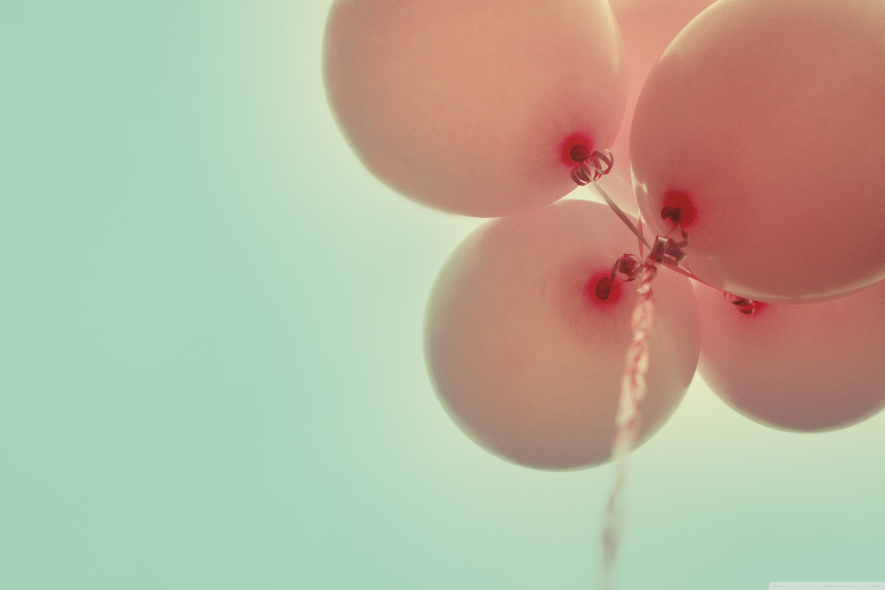 Pink Balloons Wallpapers