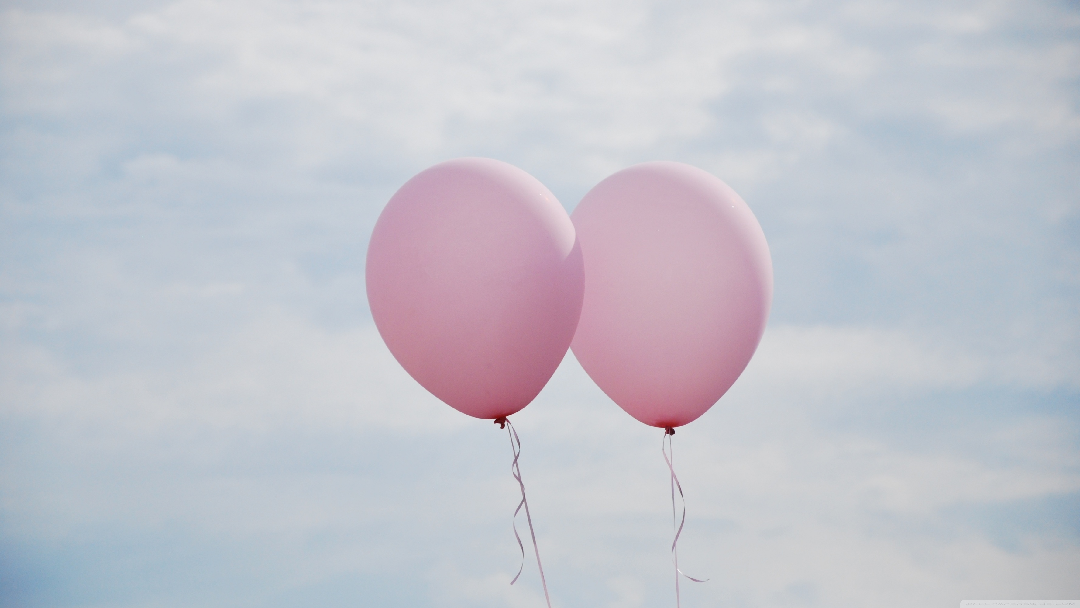 Pink Balloons Wallpapers