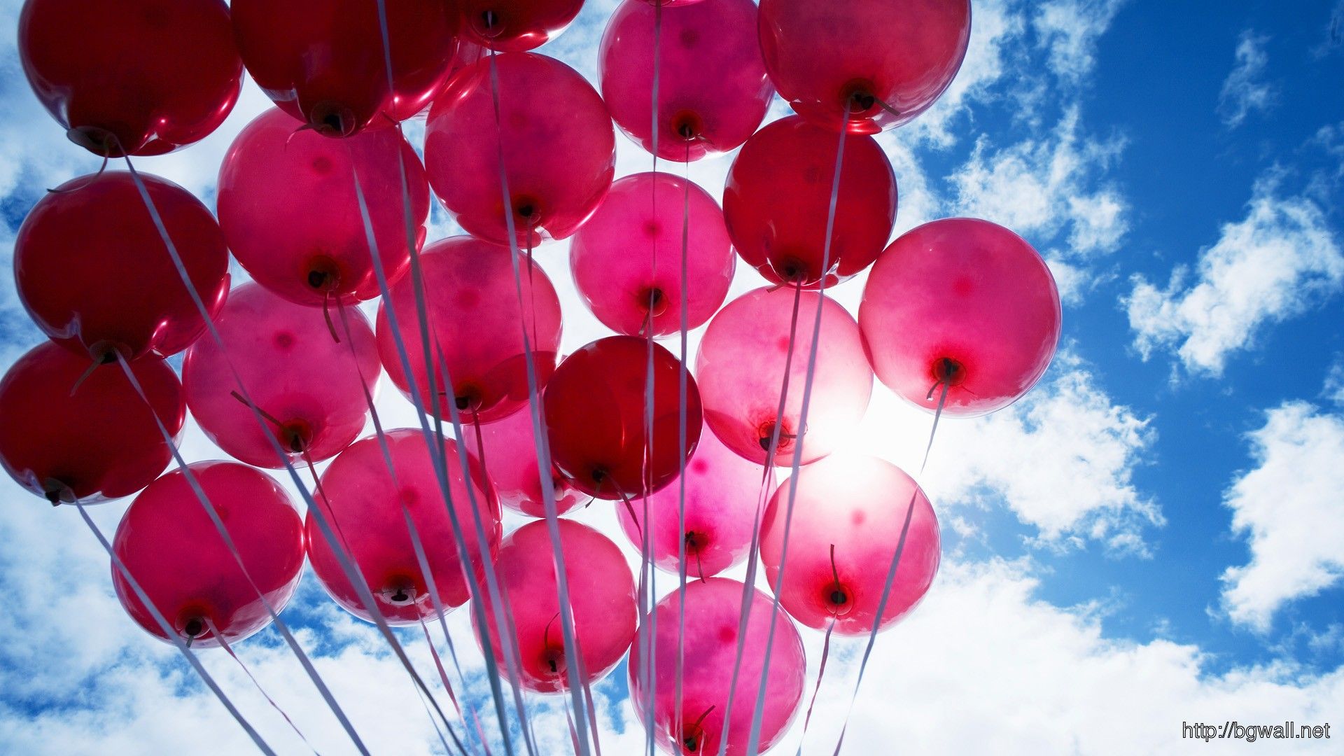 Pink Balloons Wallpapers