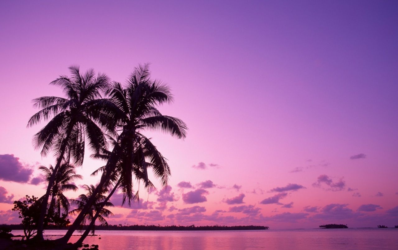 Pink Beach Sunset Wallpapers